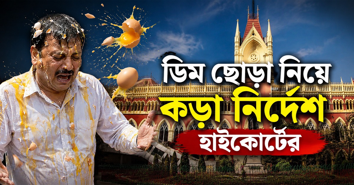 দু-একজনকে গ্রেফতার করে কী হবে! ডিম ছোড়া নিয়ে কড়া নির্দেশ হাই কোর্টের