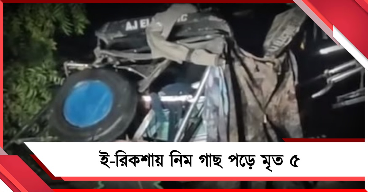 ফিরোজাবাদে ঝড়বৃষ্টিতে ই-রিকশায় নিম গাছ পড়ে মৃত ৫