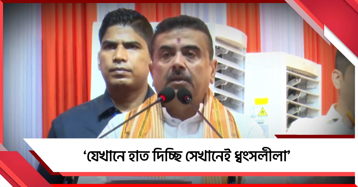 'যেখানে হাত দিচ্ছি সেখানেই ধ্বংসলীলা', চিকিৎসক দিবসে কেন বললেন মুখ্যমন্ত্রী