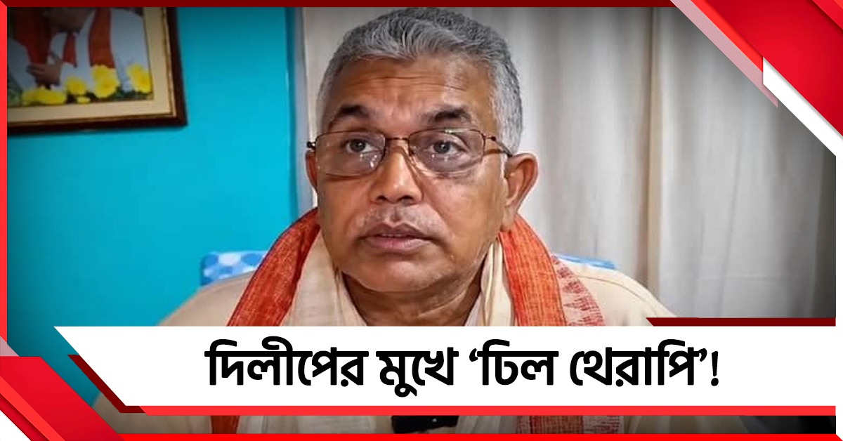 পঞ্চায়েত প্রধানদের বাড়িতে ঢিল পড়বে, হুঁশিয়ারি দিলীপের!