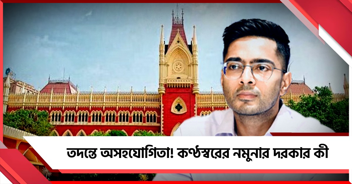 “কণ্ঠস্বরের কী প্রয়োজনীয়তা?“ আদালতে ফের প্রশ্ন অভিষেকের, তদন্তে অসহযোগিতার অভিযোগ