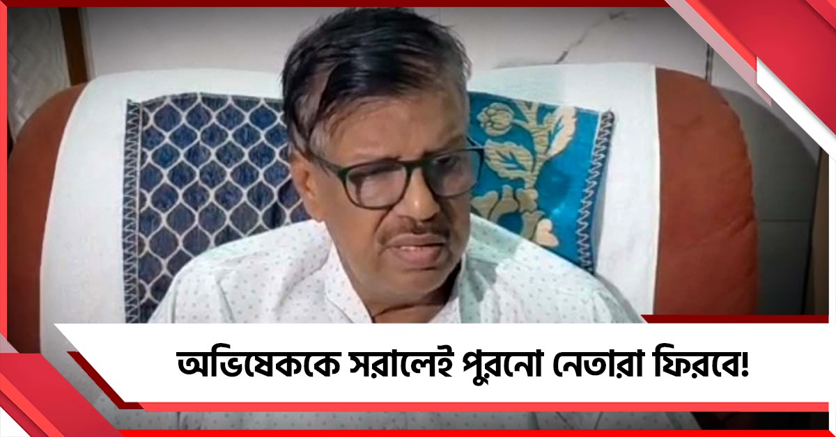 অভিষেককে সরালেই পুরনো নেতারা ফিরবে! মমতার সঙ্গ ছেড়ে আইপ্যাককে বিঁধে আসল তৃণমূলে রবীন্দ্রনাথ
