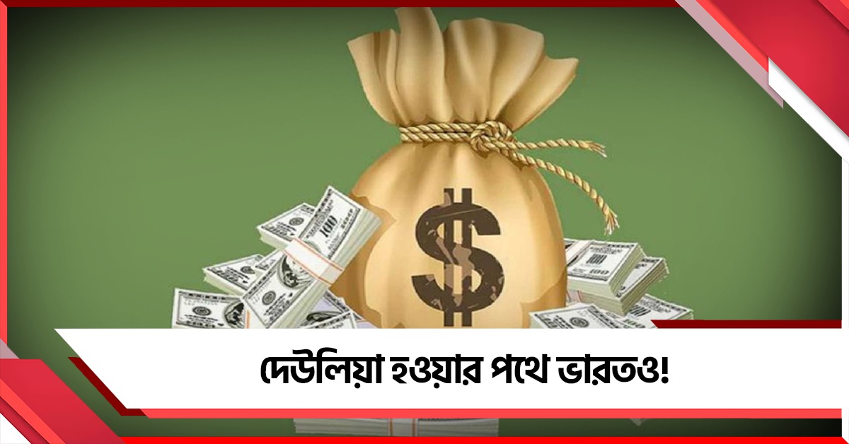 আকাশছোঁয়া বৈদেশিক ঋণ, পাক-শ্রীলঙ্কা-বাংলাদেশের মতো দেউলিয়া হওয়ার পথে ভারতও!