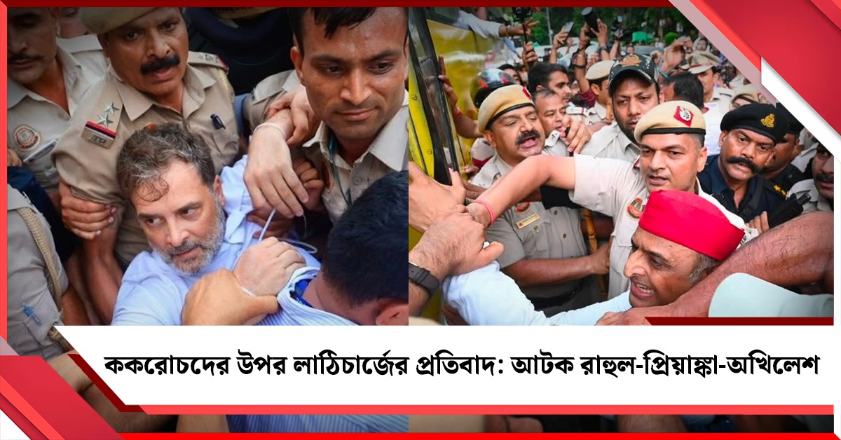 ককরোচদের উপর লাঠিচার্জের প্রতিবাদ করে আটক রাহুল-প্রিয়াঙ্কা-অখিলেশ! মোদির বাসভবনের সামনে উত্তেজনা