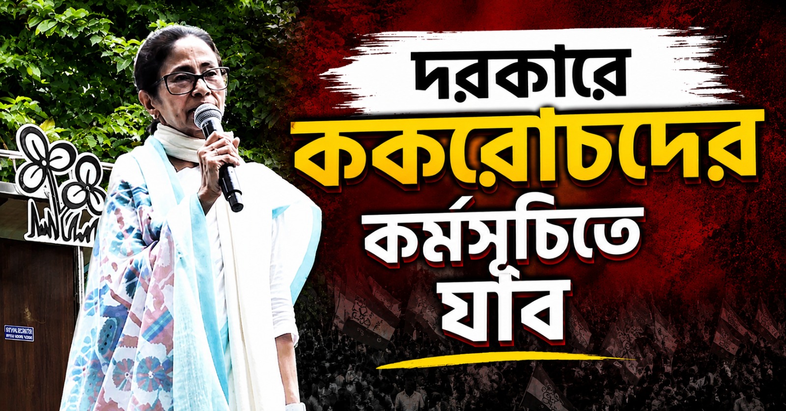 আমার কোনও ছুঁৎমার্গ নেই, দরকারে ককরোচদের কর্মসূচিতে যাব: বার্তা মমতার