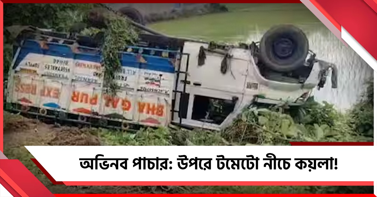 টমেটোর আড়ালে কয়লা পাচার! ম্যাটাডোর দুর্ঘটনায় পর্দাফাঁস আউশগ্রামে