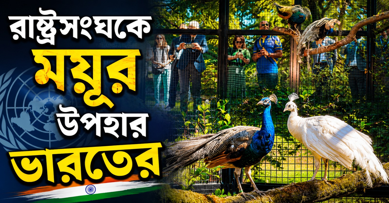 রাষ্ট্রসংঘকে ময়ূর উপহার ভারতের