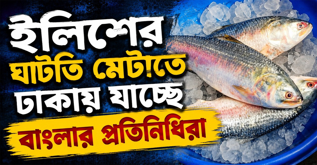 এপার বাংলায় পদ্মার ইলিশে খরা! ঘাটতি মেটাতে ঢাকায় যাচ্ছে প্রতিনিধিদল