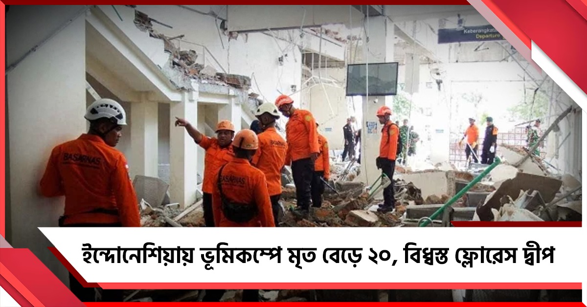 ইন্দোনেশিয়ায় ভূমিকম্পে মৃত বেড়ে ২০, বিধ্বস্ত ফ্লোরেস দ্বীপ