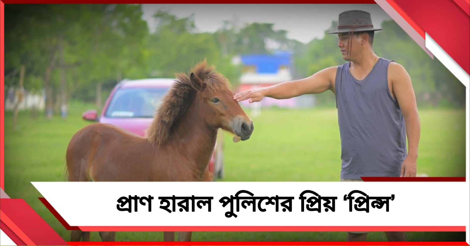 সরকারি বাসের ধাক্কায় মৃত হেমতাবাদ থানার পোষ্য ঘোড়ার শাবক 'প্রিন্স'! শোকাচ্ছন্ন পুলিশকর্মীরা