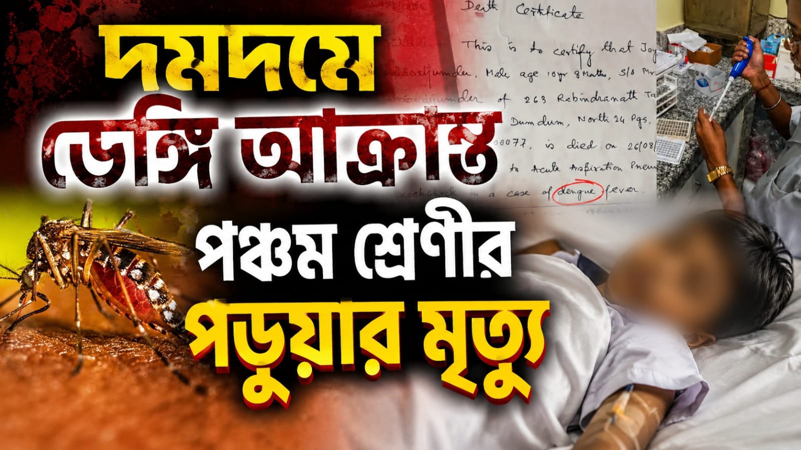 দমদমে ডেঙ্গি আক্রান্ত পঞ্চম শ্রেণীর পড়ুয়ার মৃত্যু