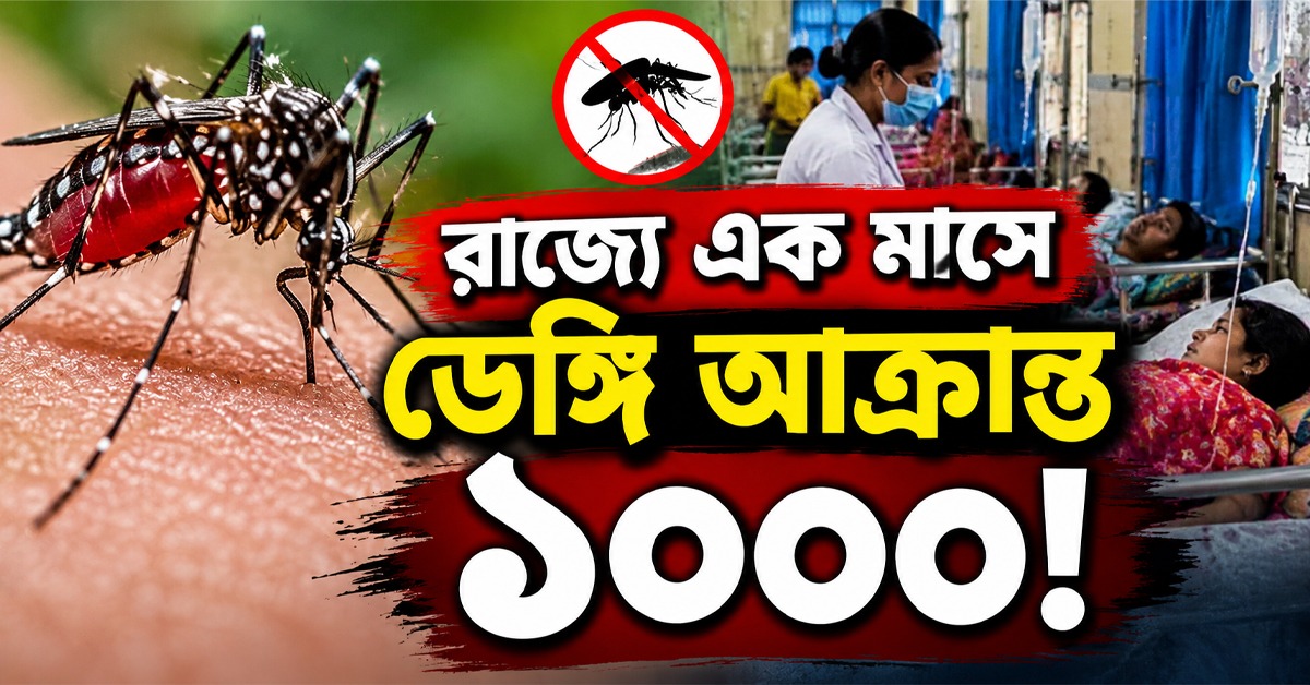 রাজ্যে এক মাসে ডেঙ্গি আক্রান্ত ১০০০! দক্ষিণবঙ্গে উদ্বেগ ম্যালেরিয়া নিয়েও