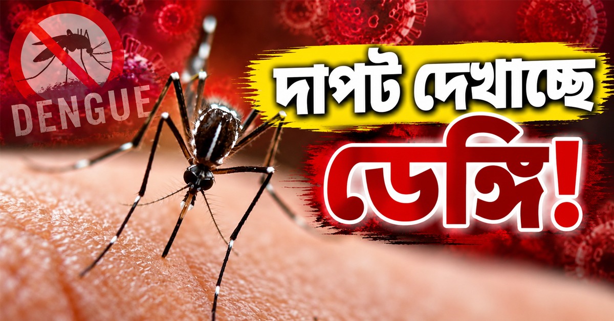 রাজ্যে ডেঙ্গি আক্রান্তের সংখ্যা সাড়ে চার হাজার পার! সবচেয়ে বেশি সংক্রমণ মুর্শিদাবাদে