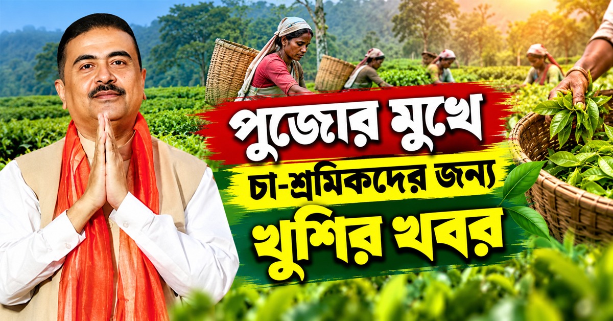 পুজোর মুখে চা-শ্রমিকদের জন্য খুশির খবর, ২০% বোনাসের ঘোষণা মুখ্যমন্ত্রীর