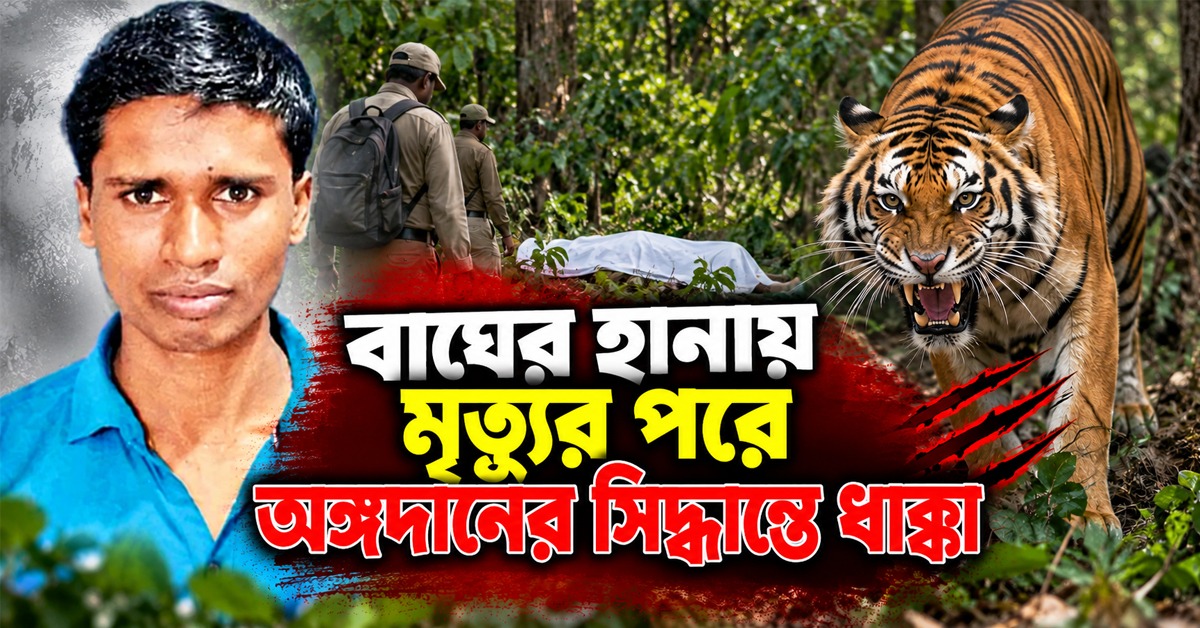 বাঘের হানায় অকাল-মৃত্যু, অঙ্গদানের সিদ্ধান্ত নিয়েও ধাক্কা পরিবারের