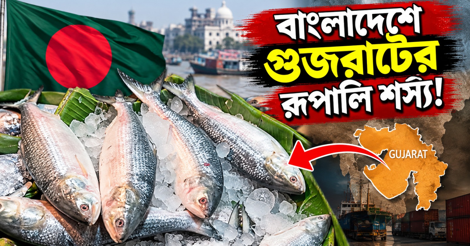বাংলাদেশে গুজরাটের রুপালি শস্য! উল্টো স্রোতে বদলাচ্ছে ইলিশ-বাণিজ্য