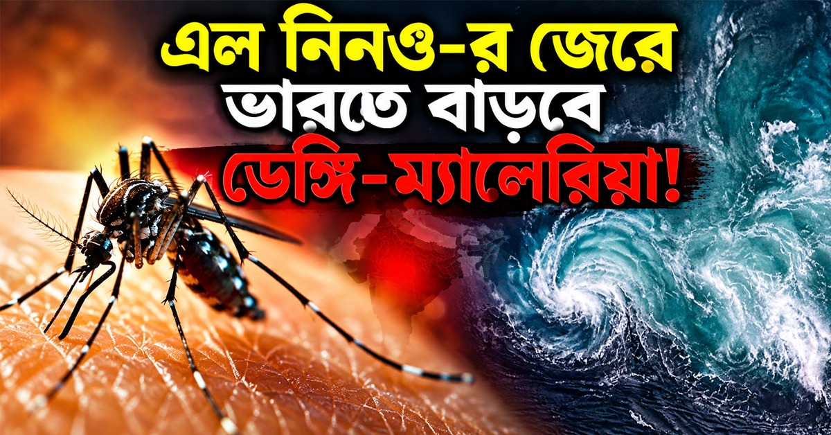 এল নিনও-র জেরে ভারতে বাড়বে ডেঙ্গি-ম্যালেরিয়া! বাড়ছে উদ্বেগ,সতর্ক করল হু
