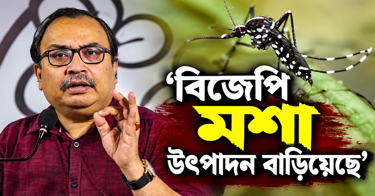 রাজ্যে ডেঙ্গি পজিটিভ ৫ হাজারের বেশি! 'বিজেপি মশা উৎপাদন বাড়িয়েছে' কটাক্ষ কুণালের