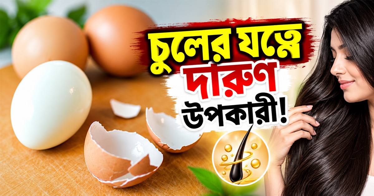 চুলের যত্নে দারুণ উপকারী! ডিমের খোসার গুণ জানলে চমকে যাবেন