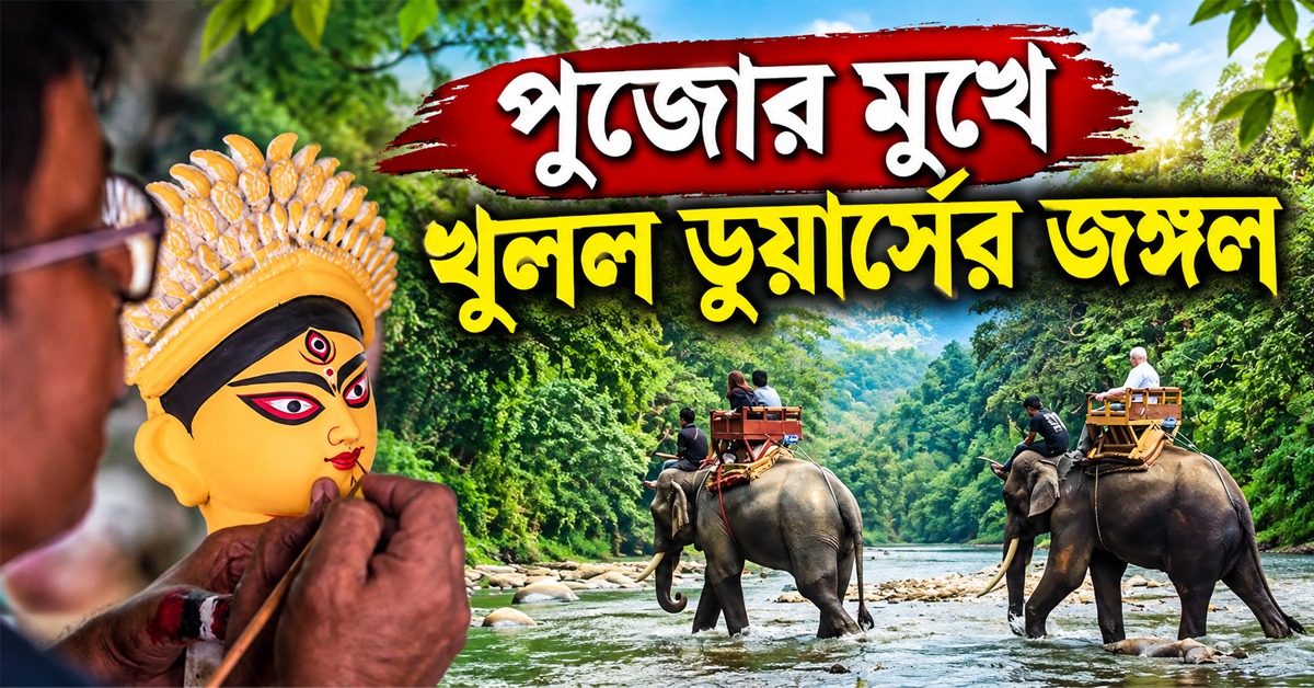 পুজোর মুখে খুশির হাওয়া! তিন মাস পর পর্যটকদের জন্য খুলল ডুয়ার্সের জঙ্গল