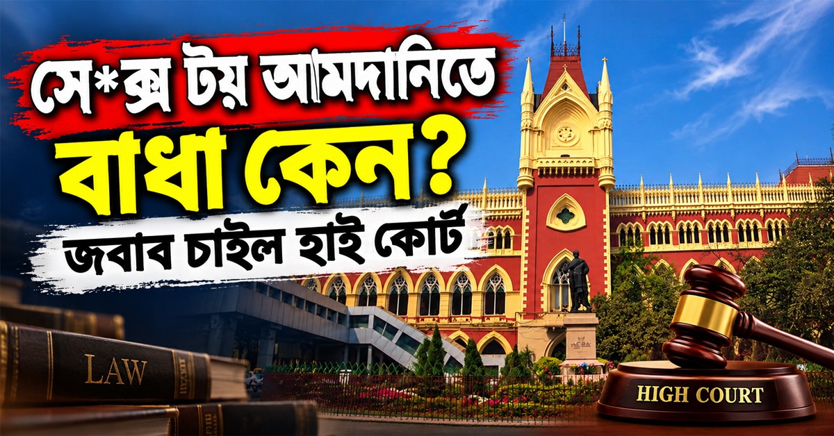 সেক্স টয় আমদানিতে নিষেধাজ্ঞা নিয়ে প্রশ্ন! শুল্ক দফতরের বক্তব্য তলব হাই কোর্টের