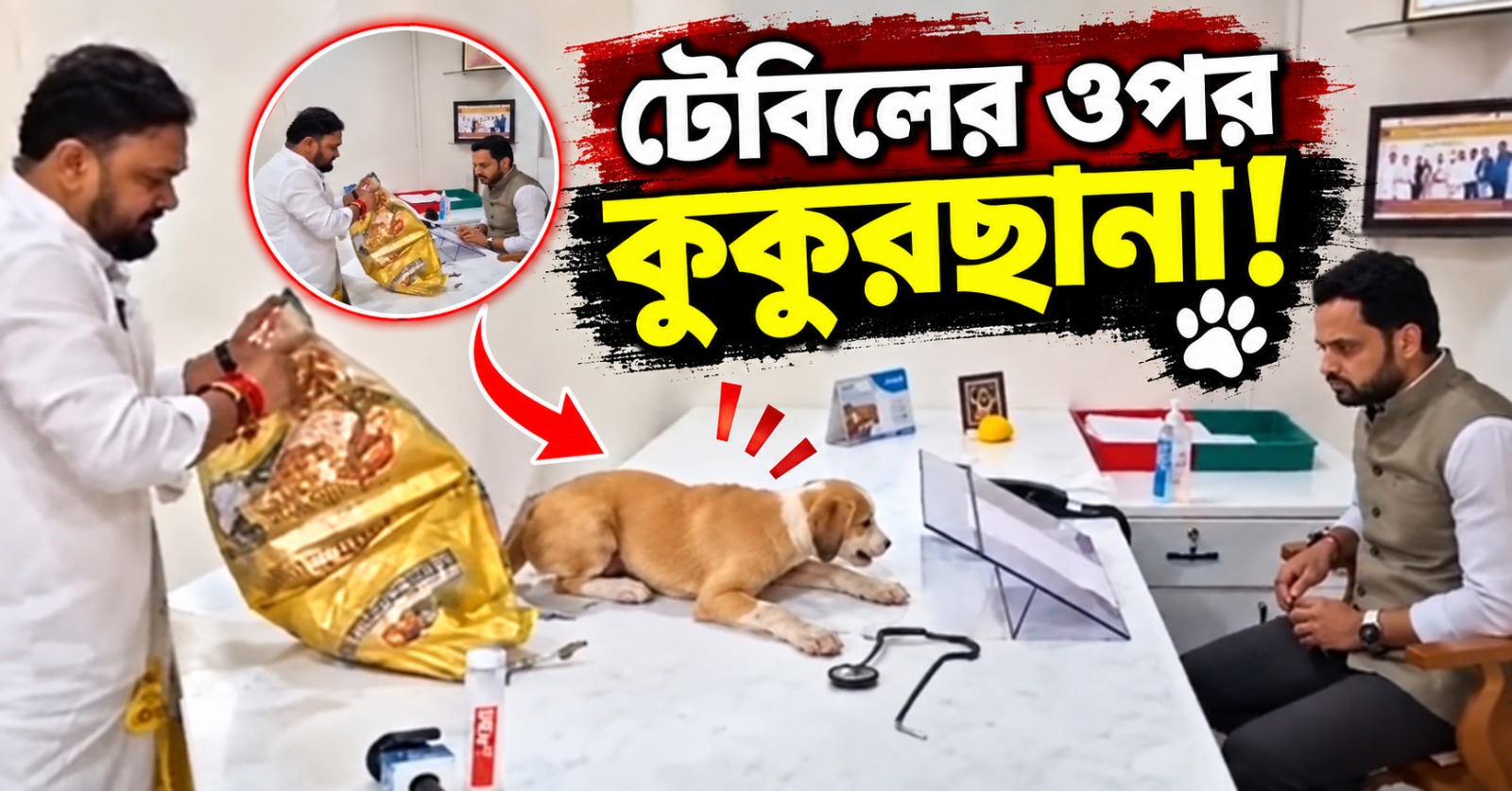 টেবিলের ওপর কুকুরছানা! নাসিক পুরসভায় বেনজিরকাণ্ড