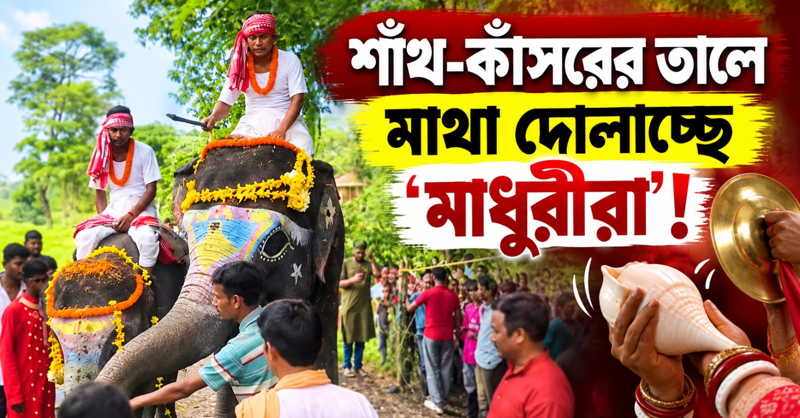 শাঁখ-কাঁসরের তালে মাথা দোলাচ্ছে ‘মাধুরীরা’! গরুমারায় রাজকীয় কায়দায় হাতি আরাধনা