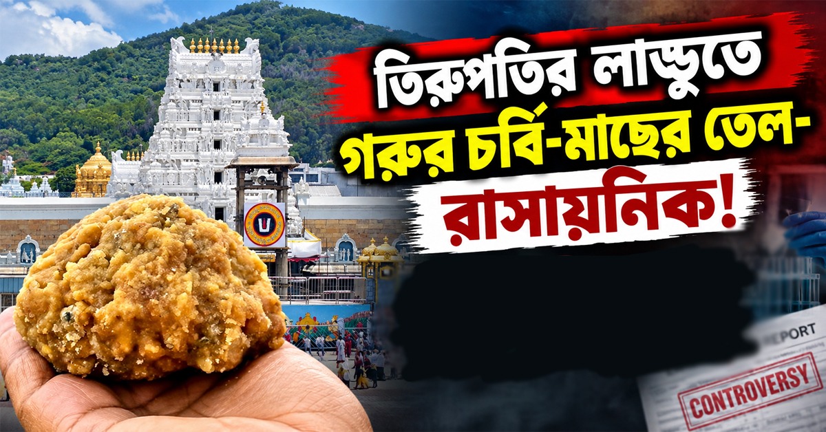 তিরুপতির লাড্ডুতে গরুর চর্বি-মাছের তেল-রাসায়নিক! বড় অভিযোগ ED-র, গ্রেফতার সংস্থার প্রমোটার