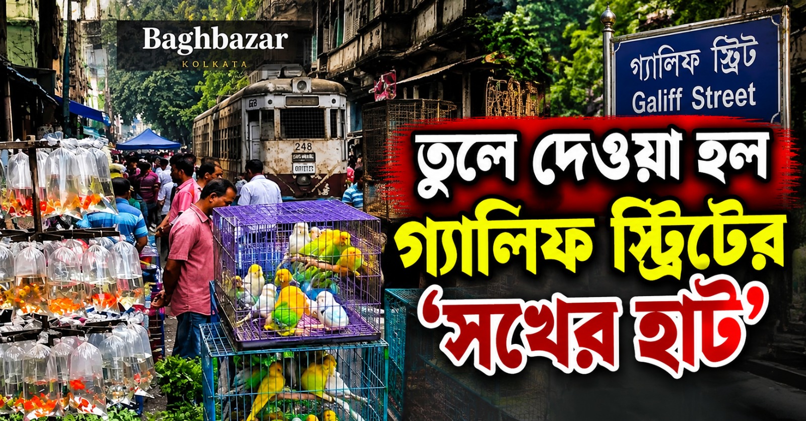 হাই কোর্টের নির্দেশ! তুলে দেওয়া হল শতাব্দী প্রাচীন গ্যালিফ স্ট্রিটের ‘সখের হাট’