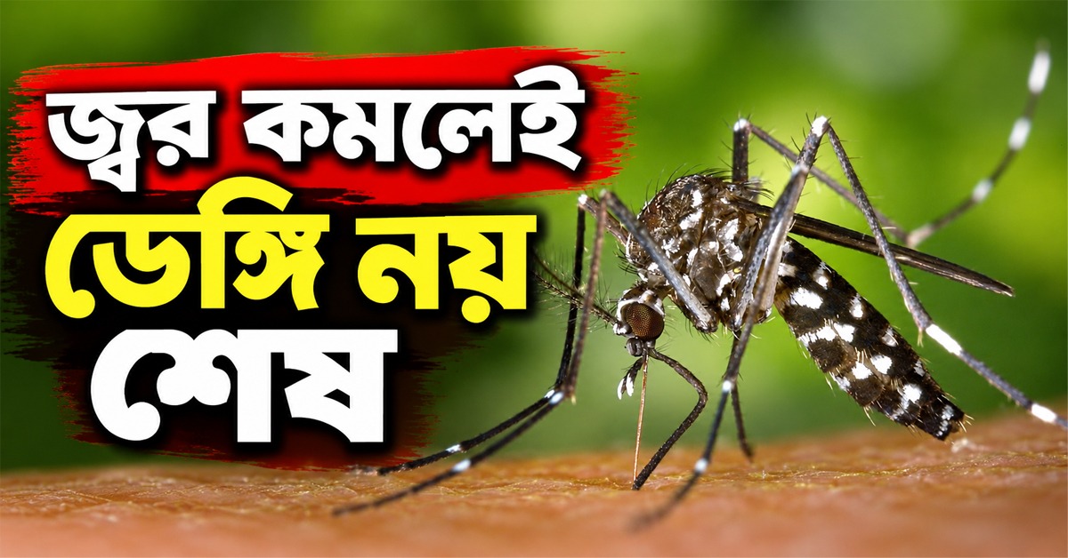 জ্বর কমলেই ডেঙ্গি নয় শেষ, বার্তা হাসপাতাল ফেরত কঙ্কনার