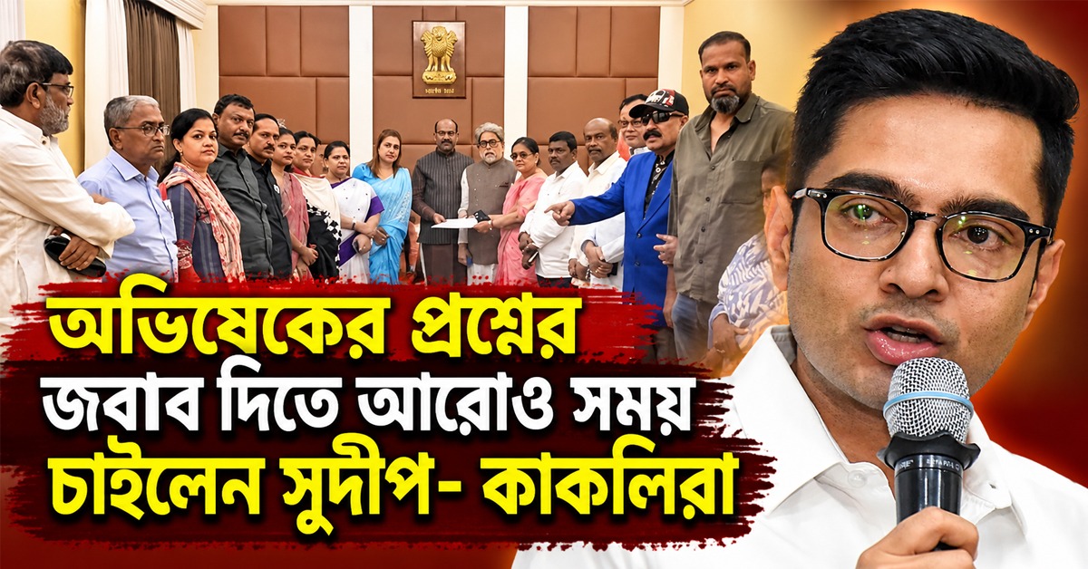 সাংসদ পদ খারিজ মামলায় আরও সময় চেয়ে স্পিকারকে চিঠি NCPI সাংসদদের