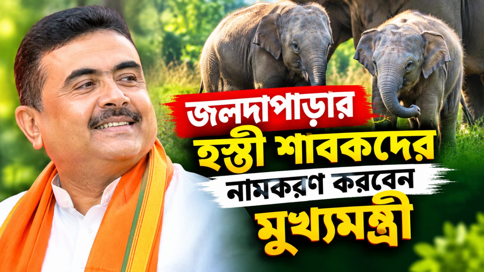 আজ উত্তরে একগুচ্ছ কর্মসূচি, জলদাপাড়ার হস্তী শাবকদের নামকরণ করবেন মুখ্যমন্ত্রী