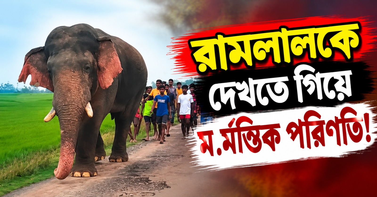 রামলালকে দেখতে হুড়োহুড়ি, ট্রাক্টরের চাকায় পিষ্ট দশম শ্রেণির ছাত্র