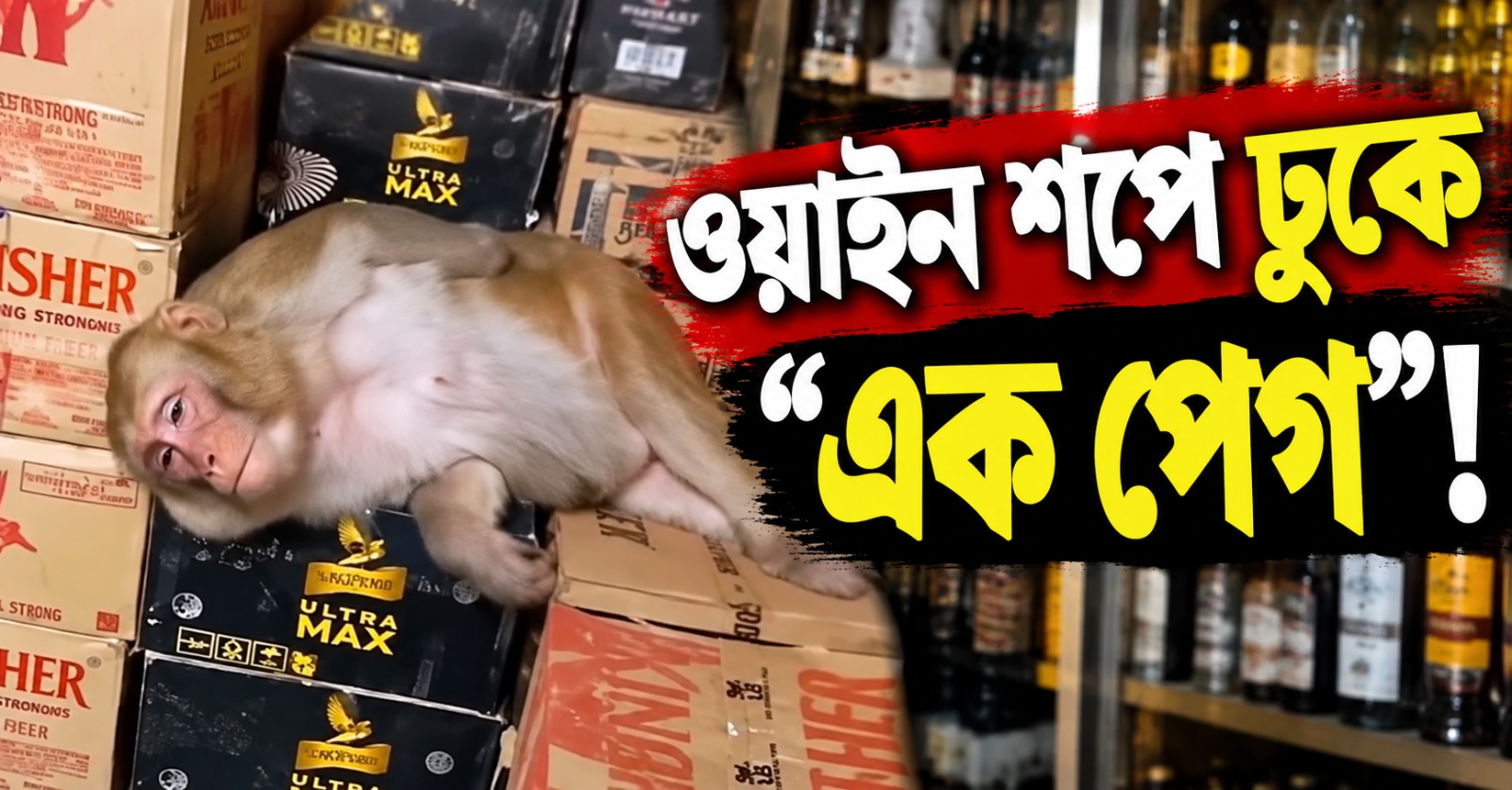ওয়াইন শপে ঢুকে "এক পেগ"! তারপর মেঝেতেই ঘুম
