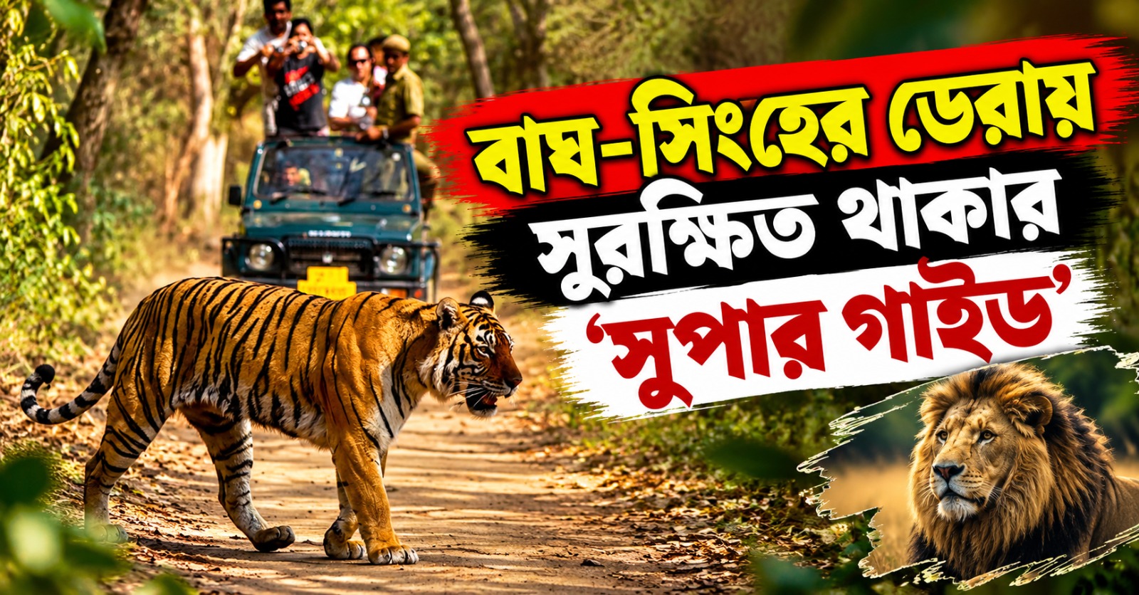 অসতর্ক হলেই চরম বিপদ! বাঘ-সিংহের ডেরায় সুরক্ষিত থাকার ‘সুপার গাইড’