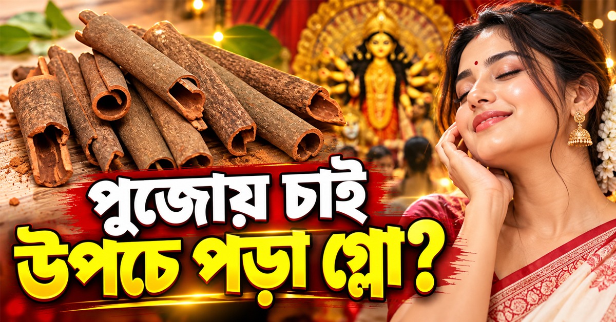 পুজোয় চাই উপচে পড়া গ্লো? দারচিনির সঙ্গে এই ২টি জিনিস মিশালেই কেল্লাফতে!