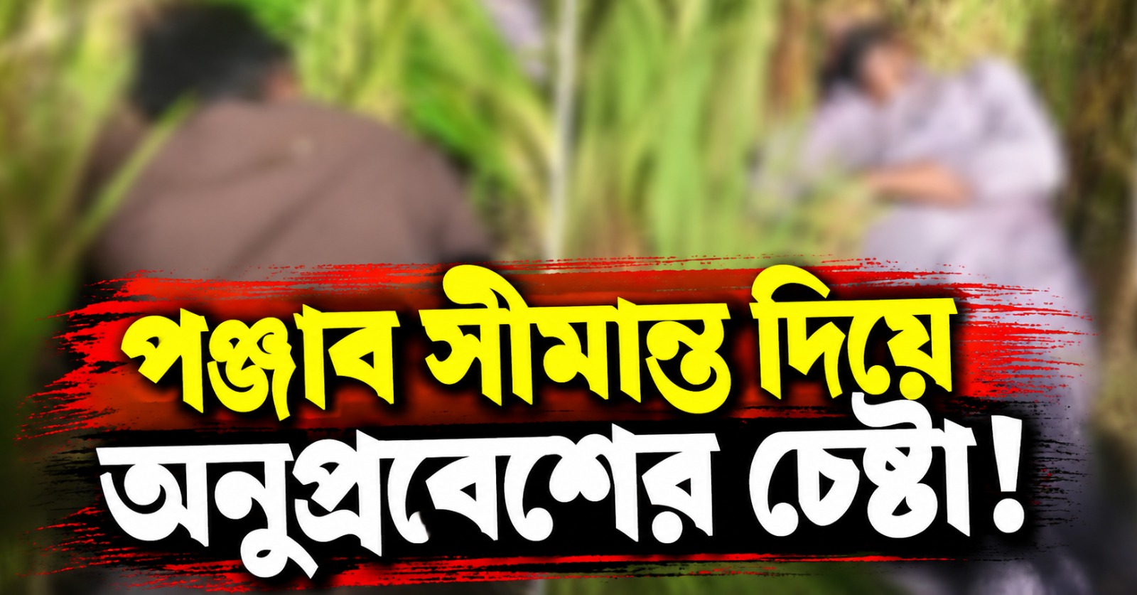 পঞ্জাব সীমান্ত দিয়ে অনুপ্রবেশের চেষ্টা! BSF-এর গুলিতে মৃত ২ সন্দেহভাজন