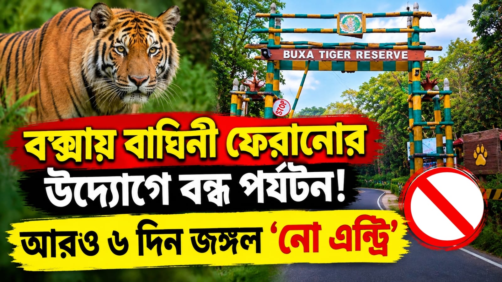 ফের পর্যটনে কোপ! বক্সায় বাঘিনী ফেরানোর উদ্যোগে আরও ৬ দিন জঙ্গল ‘নো এন্ট্রি'