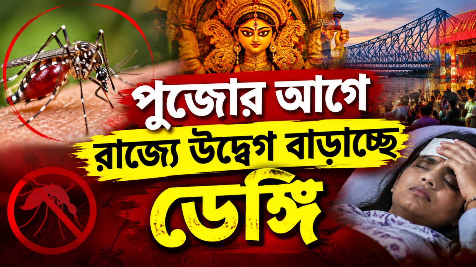 পুজোর আগে উদ্বেগ বাড়াচ্ছে ডেঙ্গি, ফেব্রুয়ারি মাস পর্যন্ত রাজ্যে হলুদ সতর্কতা জারি রাজ্যের