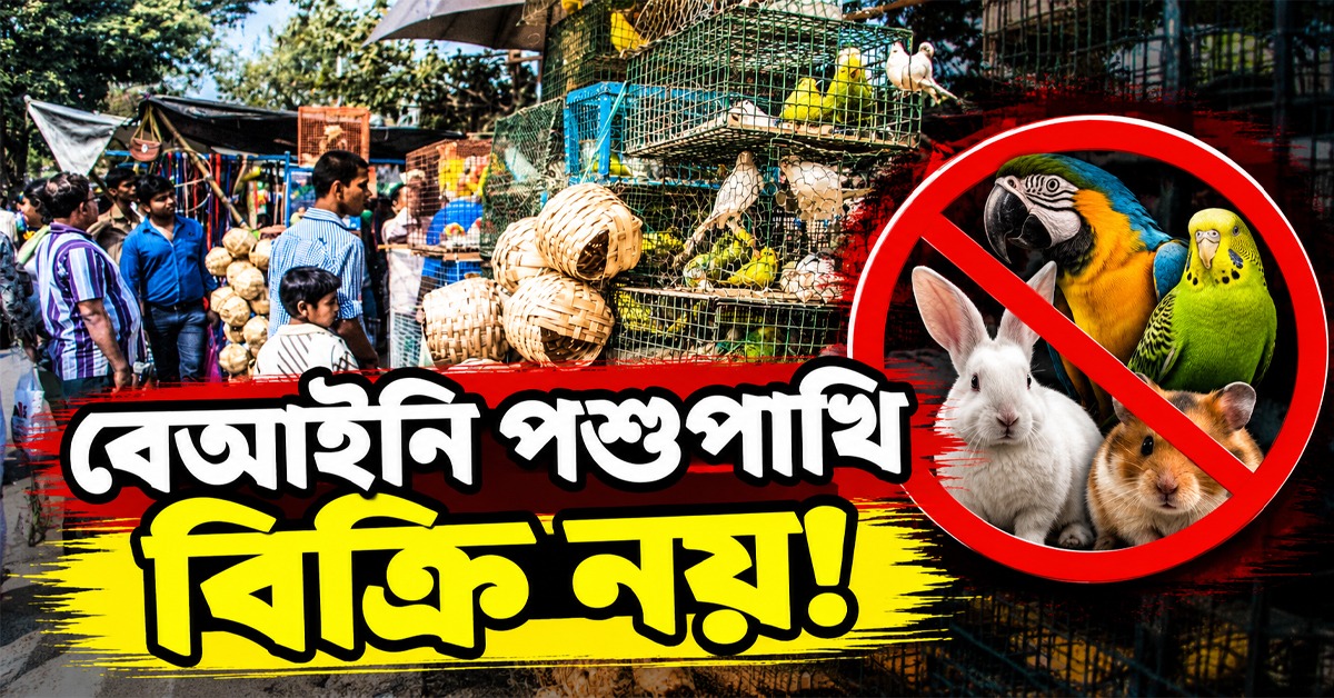বেআইনি পশুপাখি বিক্রি নয়, গ্যালিফ স্ট্রিটের ব্যবসায়ীদের কড়া নির্দেশ আদালতের