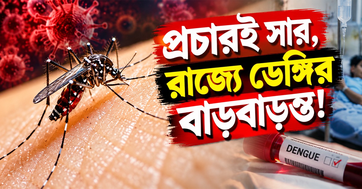 প্রচারই সার! রাজ্যে ডেঙ্গির বাড়বাড়ন্ত, তিনদিনের ব্যবধানে জোড়া প্রাণহানি