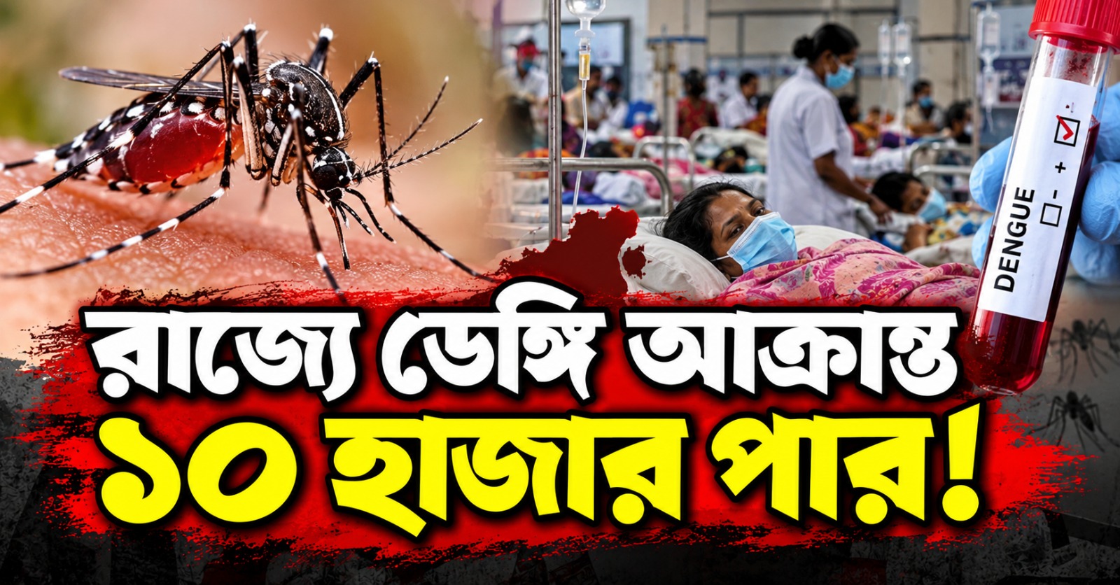 রাজ্যে ডেঙ্গি আক্রান্ত ১০ হাজার পার, বাড়ছে চিন্তা