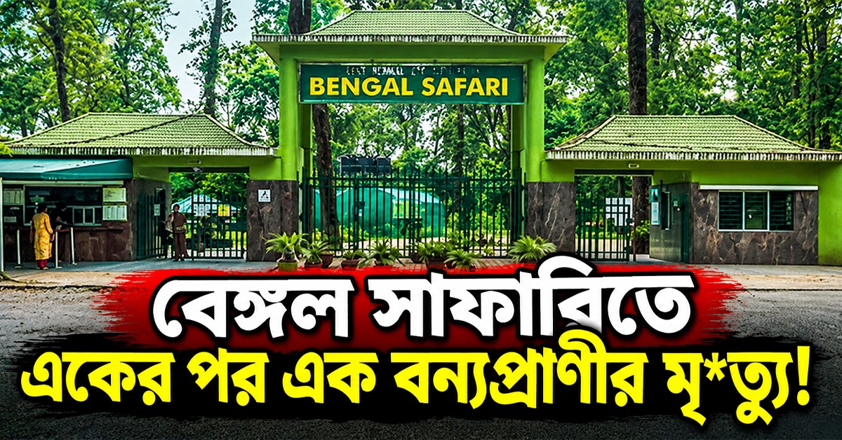 বেঙ্গল সাফারিতে একের পর এক বন্যপ্রাণীর মৃত্যু! নীরব পার্ক কর্তৃপক্ষ