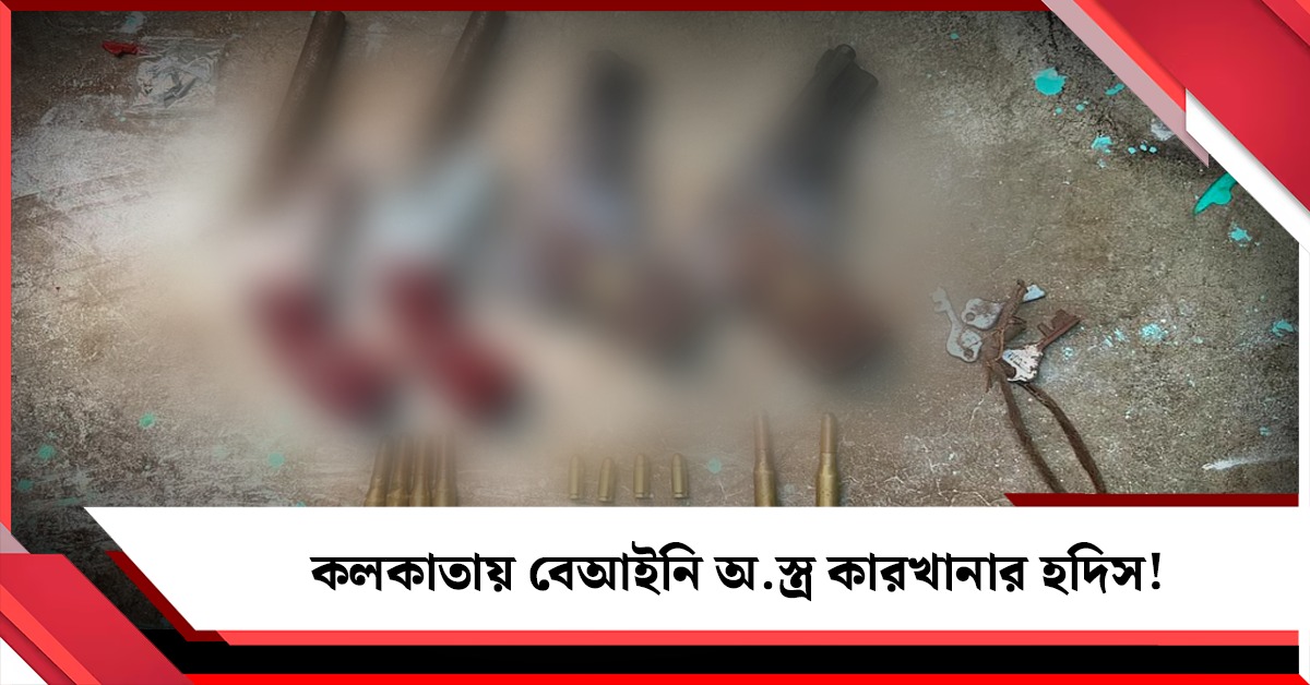 কলকাতায় বেআইনি অস্ত্র কারখানার হদিশ! STF-এর অভিযানে উদ্ধার ৪ বন্দুক