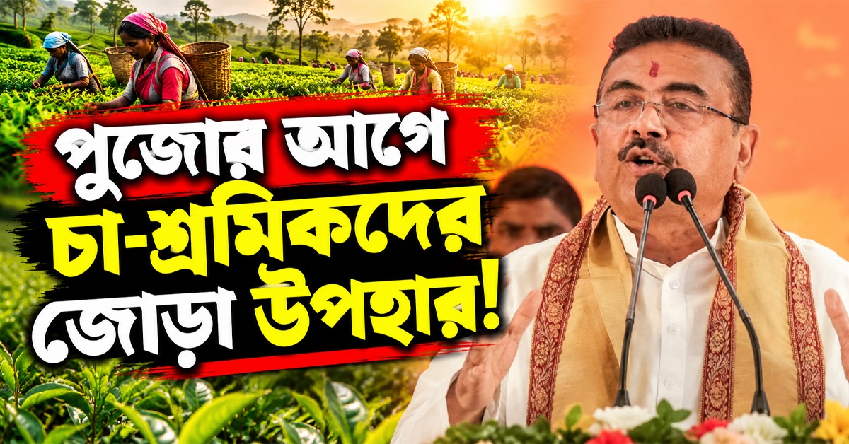 পুজোর আগে চা-শ্রমিকদের জোড়া উপহার! অ্যাকাউন্টে ৫ হাজার, পরিবারপিছু অতিরিক্ত ৫০ কেজি চাল